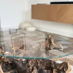 别墅 Casa Estilo Deco 比奥格勒·纳·莫鲁
