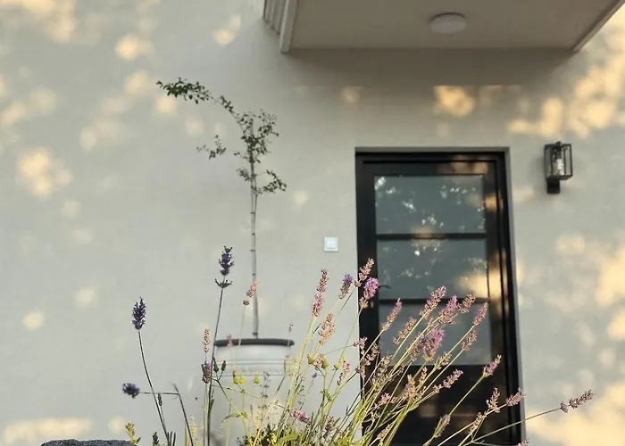Vila Casa Estilo Deco
